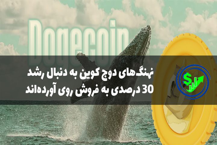 نهنگ‌های دوج کوین به دنبال رشد 30 درصدی به فروش روی آورده‌اند